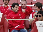 Bóng đá anh, ngoại hạng anh, lịch thi đấu euro 2012, Milan vẫn chưa thôi mơ về Fabregas